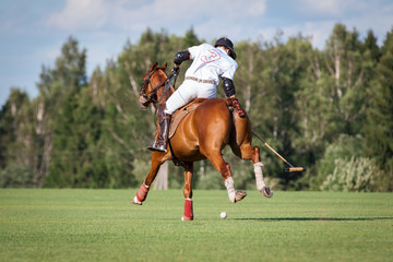 Horse polo player hit the ball with a mallet. Back side view