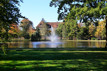 Pond, Park, Swan, Water fontaine, Celle, Lower Saxony, Germany, Europe