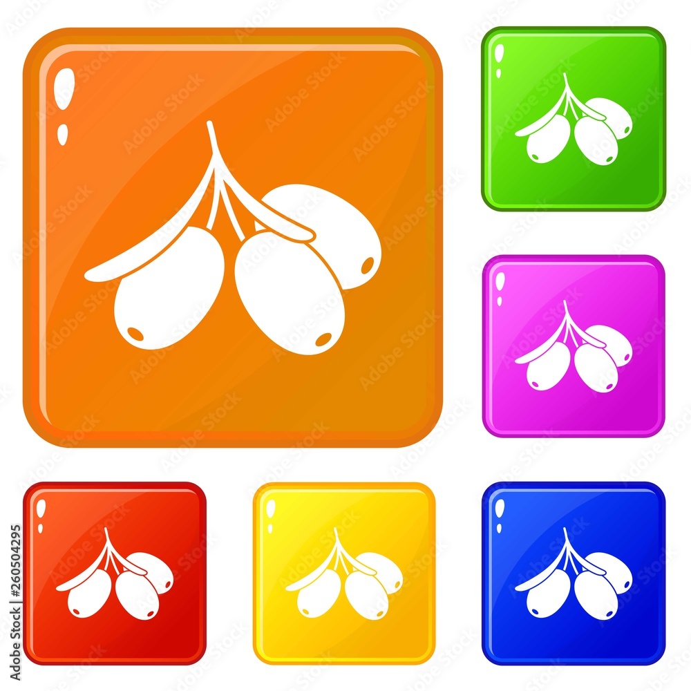 Poster sea buckthorn branch icons set collection vector 6 color isolated on white background