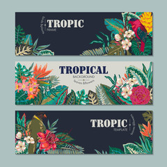 Vector collection of three cards, with parrots, exotic flowers, plants and leaves.