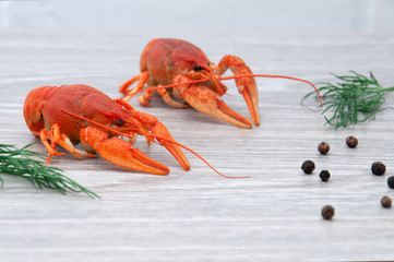 Boiled crayfish with peps on a gray wooden background.