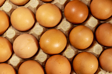 Raw chicken eggs in cardboard egg box close-up