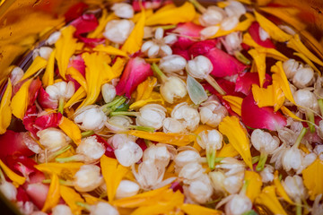 Rose jasmine leaves, golden water bowl, placed on green banana leaves Concept of the Songkran Festival Is an old tradition of Thailand