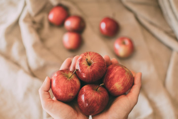 Girl holding red fresh apples in hand. Organic and healthy fruit. Close up view of red apples as background.   