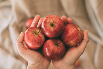 Girl holding red fresh apples in hand. Organic and healthy fruit. Close up view of red apples as...