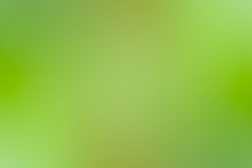 green gradient background / abstract blurry fresh green background