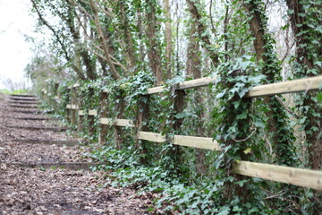 Life is a journey and not a destination