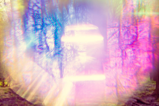 Magical hallucinogenic abstract forest with color bokeh light © marbenzu
