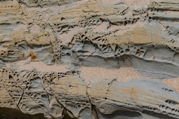 Porous stone texture background
