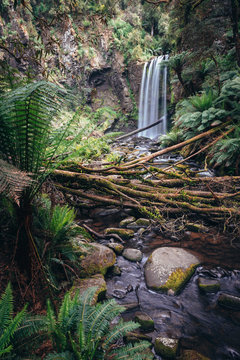 Hopetoun falls in Great Otway National park, Victoria, Australia.
