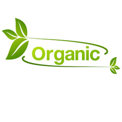 Fototapeta premium ecommerce, organic products promotion, healthy life 