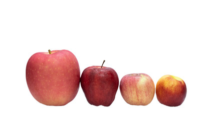 Red apple on a white background