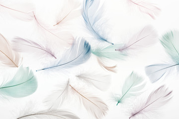 Fototapeta na wymiar seamless background with multicolored fluffy feathers isolated on white