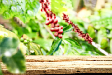 Desk of free space for your decoration and coffee plantation. 