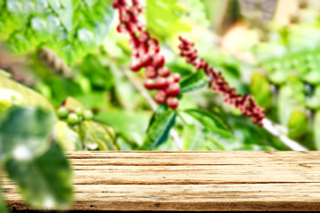 Desk of free space for your decoration and coffee plantation. 