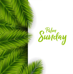 Palm Sunday Background