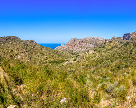 Blick vom Col de sa Gramola &uuml;ber ehemaliges Brandgebiet an der K&uuml;stenstra&szlig;e MA-10 auf Mallorca