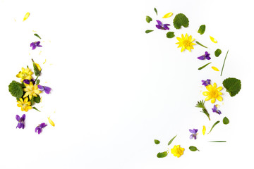 Floral composition. Yellow and violet flowers on white background. Flat lay, top view, copy space.