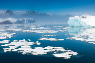 Fototapeta premium Icy seascapes of Arctic Ocean.