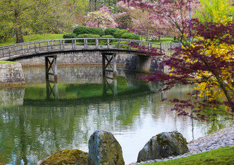 Fototapeta na wymiar Azalea blossom in Japanese garden In HASSELT Belgium