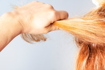The girl straightens her hair holds her hand over a strand of hair and pulls. European with red...