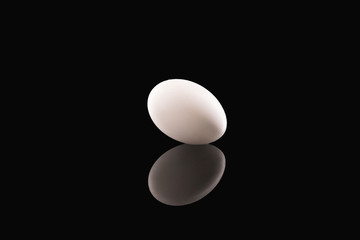 Dove's egg