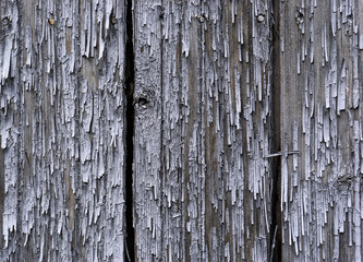 Old Wood Texture.