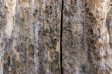 Old Wood Texture.