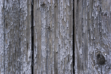 Old Wood Texture.