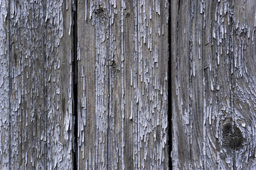 Fototapeta premium Old Wood Texture.