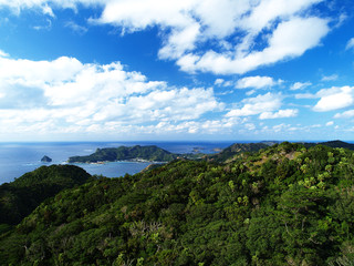 山の上から見た原生林と海