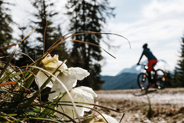 Mountainbiken im Frühling