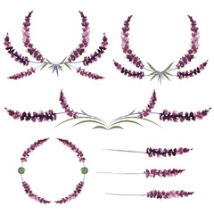 Set of lavender bouquet.