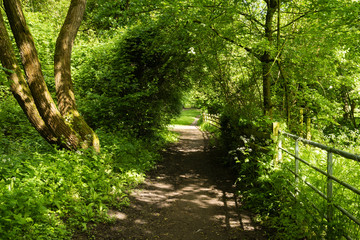 Warwickshire, England UK: a tranquil scene of the path alongside the River Dene with dappled sun and shade.