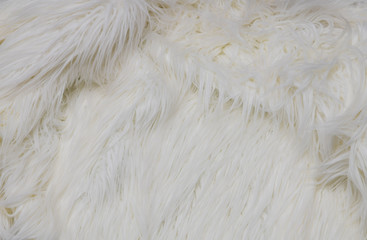 White fur background
