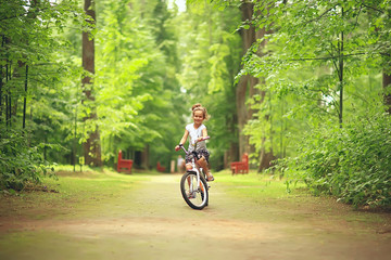 Naklejka premium girl bicycle / little baby girl on a bicycle in a summer park