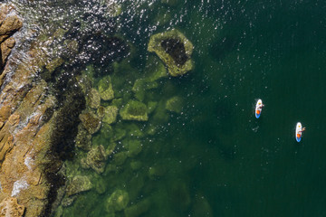 Overhead view of two unidentifiable  paddle boarders in Manly harbour, Sydney Australia