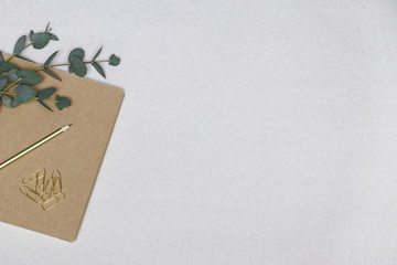 Note, eucalyptus branch, paper clips on a white background