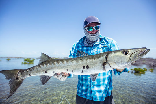 Fly fisherman holding a barracuda for a photo before releasing it. Cuba