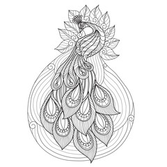 Hand drawn sketch illustration of peacock for adult coloring book.