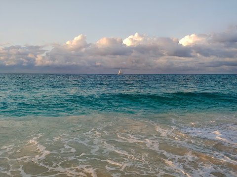 Sea 