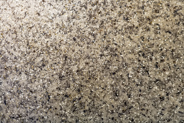 Abstract background. Gray concrete floor with white stone chips. Smooth polished surface
