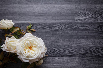  Beautiful white loose flower on a dark wooden background.