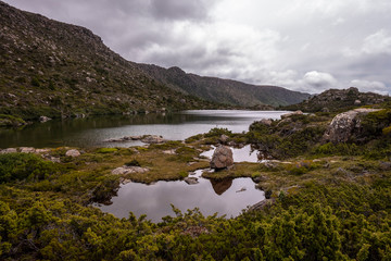 Tarn Shelf Track. Mt Field. Tasmania