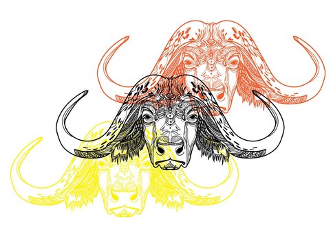 The head of a buffalo. Bull with big horns and fluffy ears. Drawing manually in vintage style. Meditative coloring. Coloring for children. Arrows, points, patterns, waves.