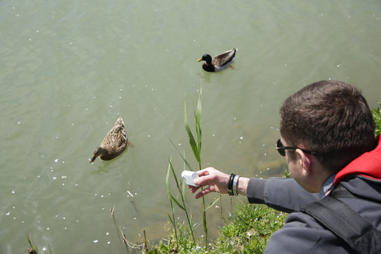 4K digital camera in the hands of a young man shooting ducks swimming along the river