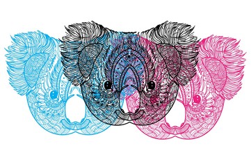 Koala. Head of koala and fluffy ears. Drawing manually in vintage style. Meditative coloring. Coloring for children. Arrows, points, patterns, waves. Animals of Australia. © RantGoil