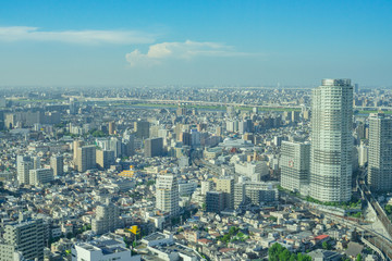 Fototapeta premium Tokio pejzaż z lotu ptaka panorama