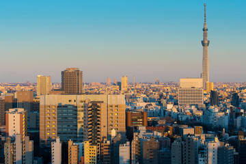 Tokyo city skyline in business district during sunset.