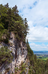 Fototapeta premium Forest landscape in the Alps. Germany